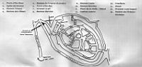 Perouges, Plan (1)